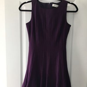 Calvin Klein Pleated Fit and Flare/ A-line Dress